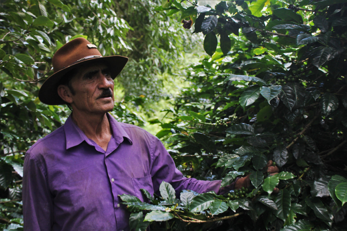 Alejandro Navarro - Honduras