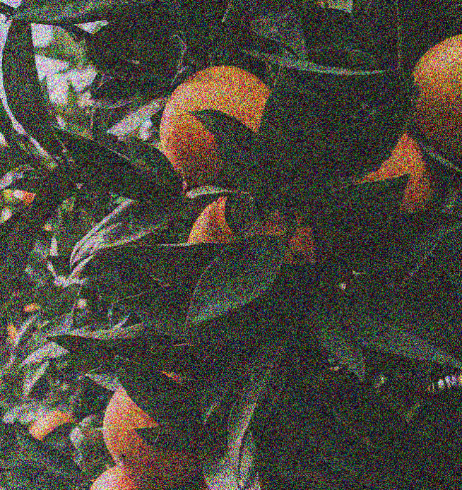 Kii - Kenya