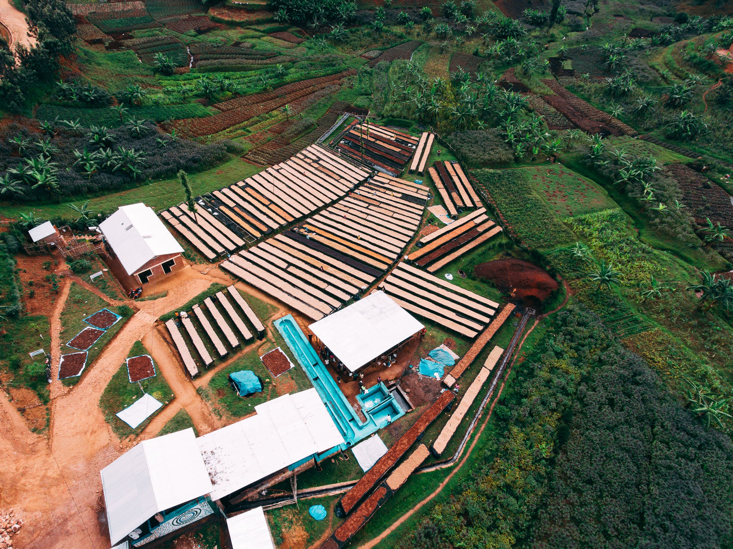 Santa's Slay - Gito - Rwanda