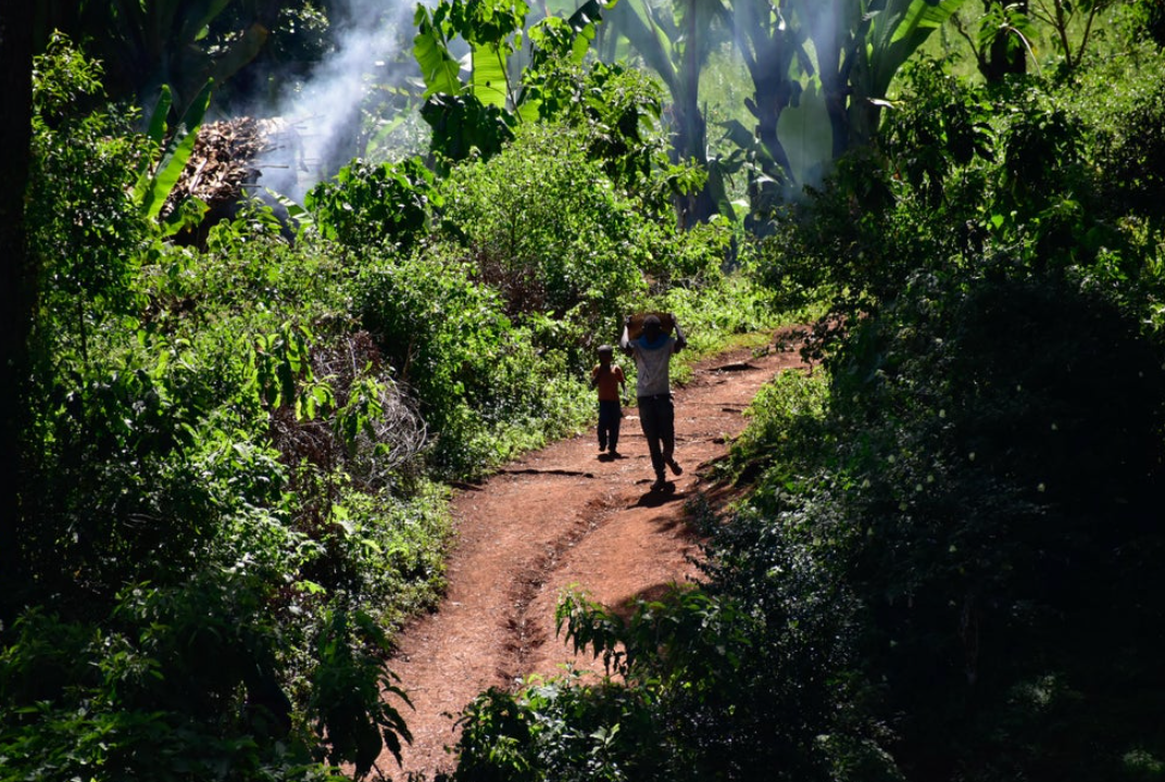 Gedeb - Ethiopia