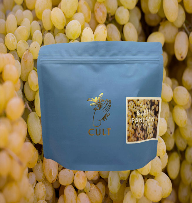 BUKIT PANIISAN - ANAEROBIC HONEY - INDONESIA