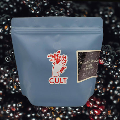 MILADIZ MEJIA REYES-WASHED-HONDURAS