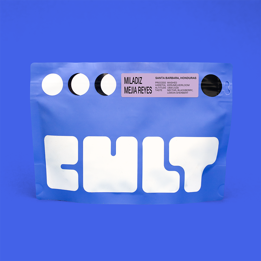 MILADIZ MEJIA REYES-WASHED-HONDURAS