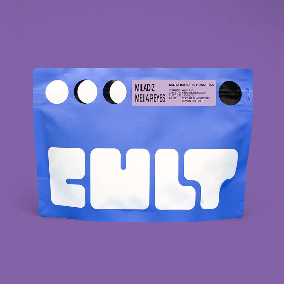 MILADIZ MEJIA REYES-WASHED-HONDURAS